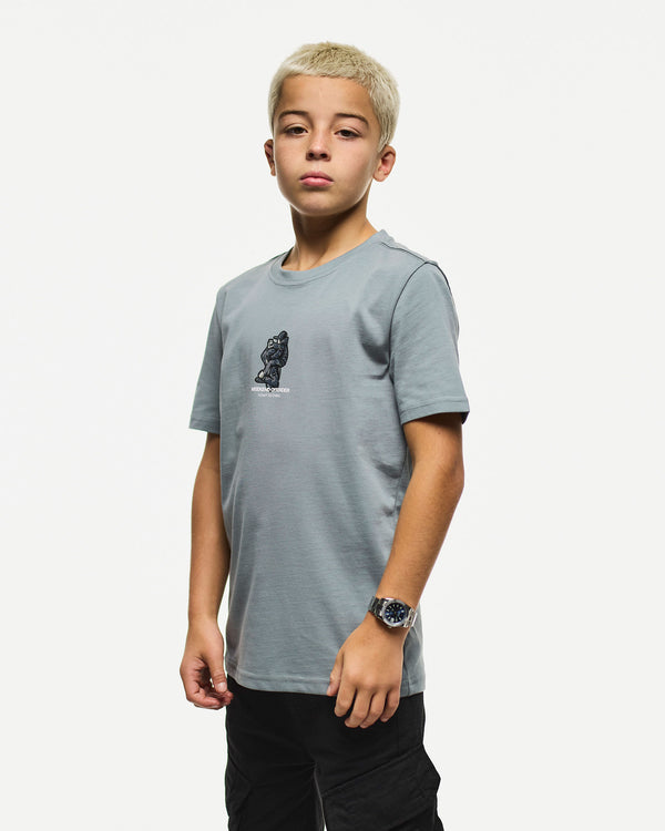 Kids Reggie Graphic T-Shirt Porpoise Grey