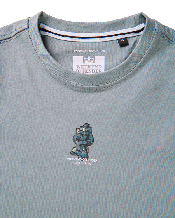 Kids Reggie Graphic T-Shirt Porpoise Grey