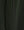 Thunder Sweatshirt Black Forest Green