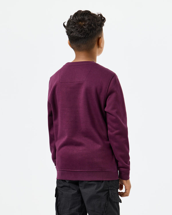 Kids Ferrer Sweatshirt Acai Berry