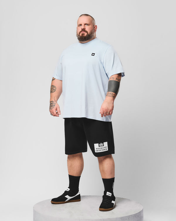 Plus Size - Brooklands T-Shirt Sky Blue