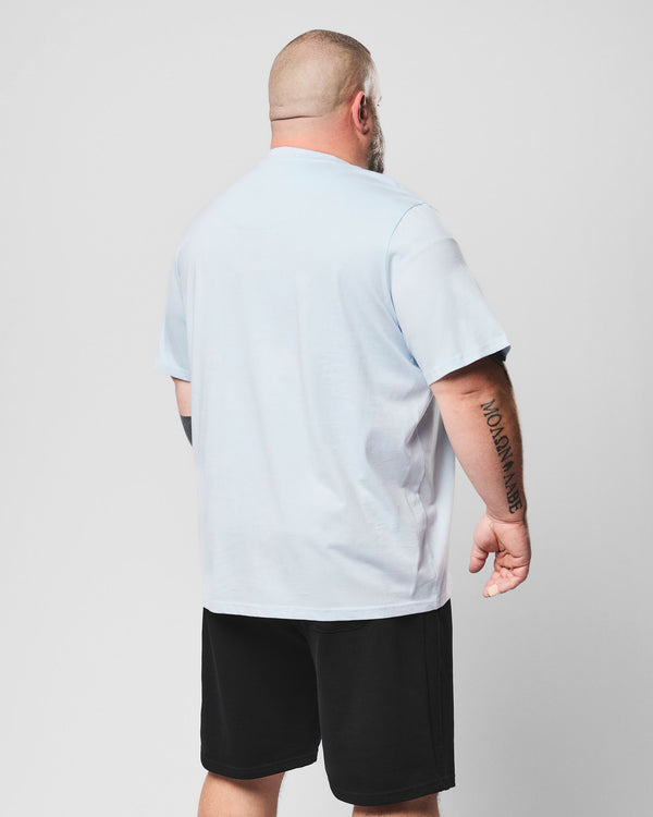 Plus Size - Brooklands T-Shirt Sky Blue