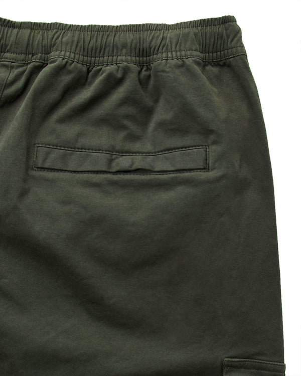 Pianemo Cargohose Schwarzwaldgrün