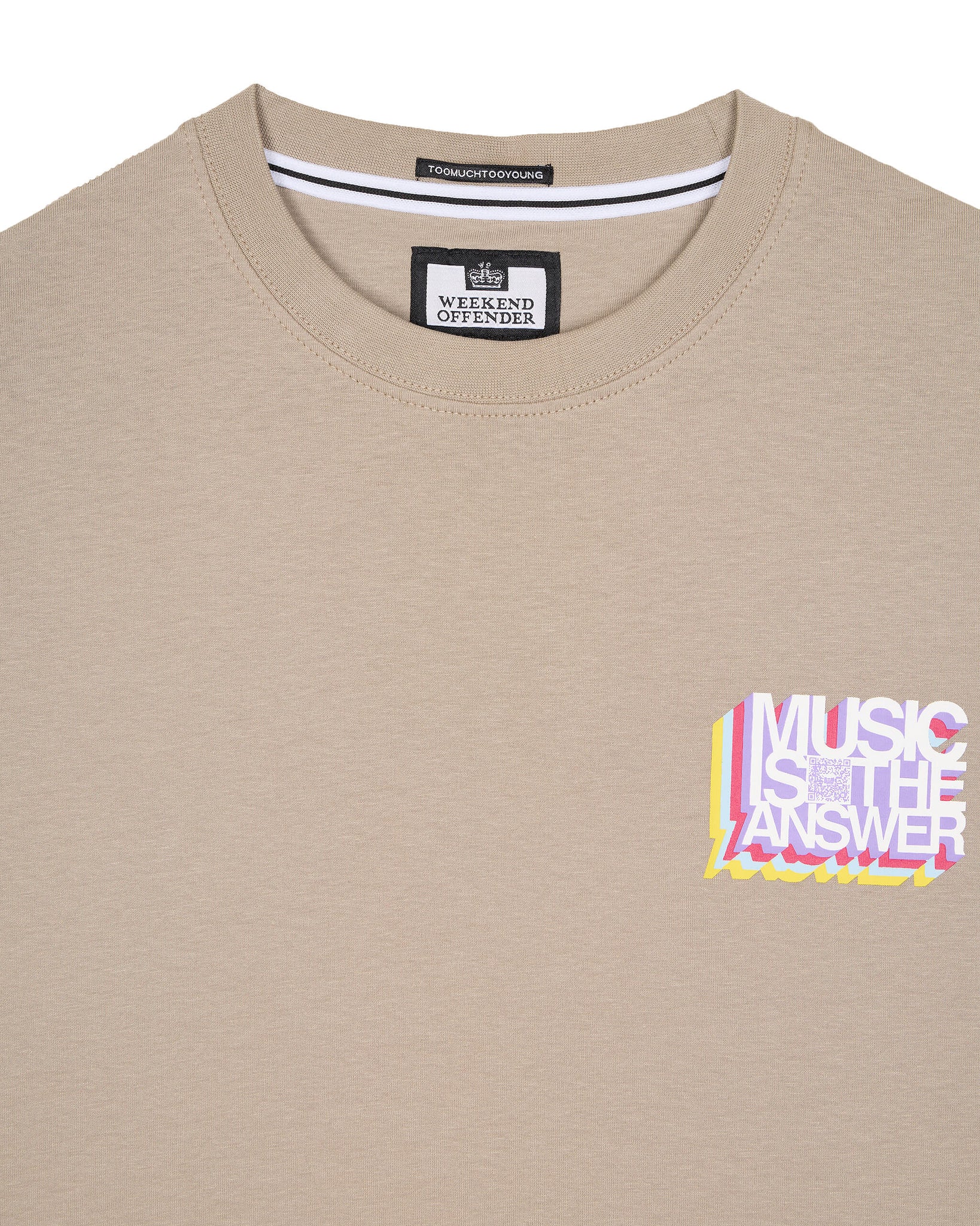 Music Is The Answer Graphic T-Shirt Bark
